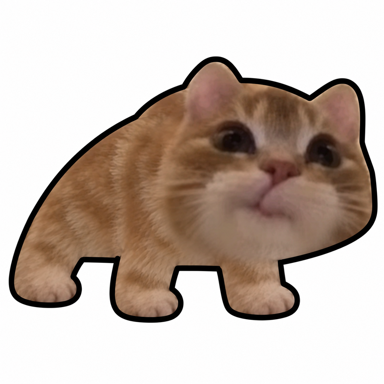 Jeffgus, the Jeff cat in Frongus form
